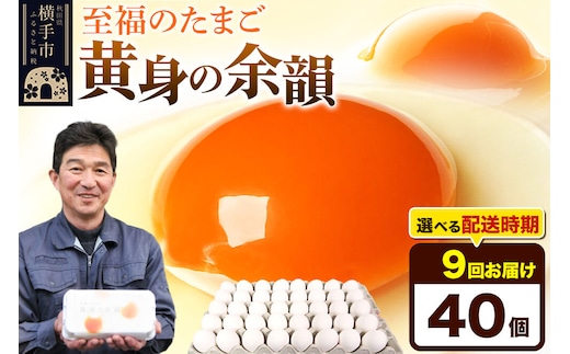 【常温発送】《定期便9ヶ月》黄身の余韻 40個（業務用）【発送時期が選べる】東海林養鶏場 黄身の余韻 卵 玉子 たまご タマゴ 9か月 9ヵ月 9カ月 9ケ月 開始時期選べる [東海林養鶏場 黄身の余韻 卵 玉子 たまご タマゴ 9か月 9ヵ月 9カ月 9ケ月 開始時期選べる]