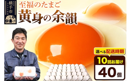【常温発送】《定期便10ヶ月》黄身の余韻 40個（業務用）【発送時期が選べる】東海林養鶏場 黄身の余韻 卵 玉子 たまご タマゴ 10か月 10ヵ月 10カ月 10ケ月 開始時期選べる [東海林養鶏場 黄身の余韻 卵 玉子 たまご タマゴ 10か月 10ヵ月 10カ月 10ケ月 開始時期選べる]