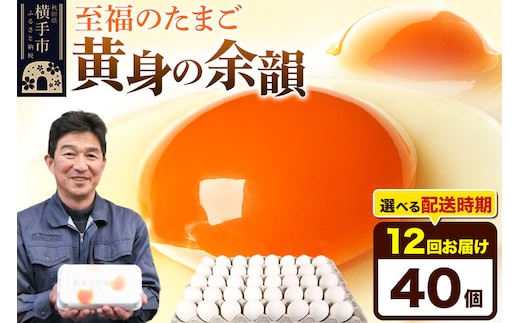 【常温発送】《定期便12ヶ月》黄身の余韻 40個（業務用）【発送時期が選べる】東海林養鶏場 黄身の余韻 卵 玉子 たまご タマゴ 12か月 12ヵ月 12カ月 12ケ月 開始時期選べる [東海林養鶏場 黄身の余韻 卵 玉子 たまご タマゴ 12か月 12ヵ月 12カ月 12ケ月 開始時期選べる]