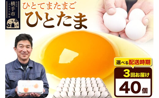 【常温発送】《定期便3ヶ月》ひとたま 40個（業務用）【発送時期が選べる】東海林養鶏場 ひとたま 卵 玉子 たまご タマゴ 3か月 3ヵ月 3カ月 3ケ月 開始時期選べる [東海林養鶏場 ひとたま 卵 玉子 たまご タマゴ 3か月 3ヵ月 3カ月 3ケ月 開始時期選べる]
