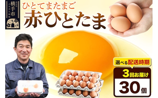 【常温発送】《定期便3ヶ月》赤ひとたま 30個（業務用）【発送時期が選べる】東海林養鶏場 赤ひとたま 卵 玉子 たまご タマゴ 3か月 3ヵ月 3カ月 3ケ月 開始時期選べる [東海林養鶏場 赤ひとたま 卵 玉子 たまご タマゴ 3か月 3ヵ月 3カ月 3ケ月 開始時期選べる]