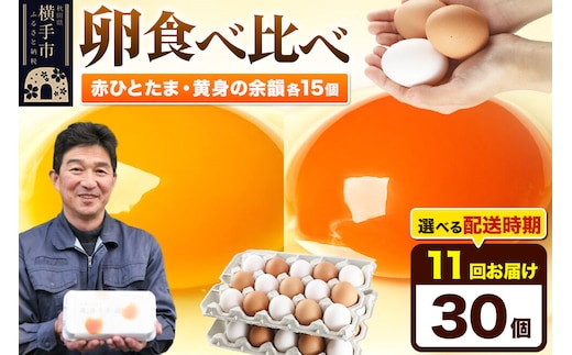 【常温発送】《定期便11ヶ月》赤ひとたま 15個・黄身の余韻 15個 計30個（業務用）【発送時期が選べる】東海林養鶏場 赤ひとたま 黄身の余韻 卵 玉子 たまご タマゴ 11か月 11ヵ月 11カ月 11ケ月 開始時期選べる [東海林養鶏場 赤ひとたま 黄身の余韻 卵 玉子 たまご タマゴ 11か月 11ヵ月 11カ月 11ケ月 開始時期選べる]