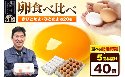 【常温発送】《定期便5ヶ月》赤ひとたま 20個・ひとたま 20個 計40個（業務用）【発送時期が選べる】東海林養鶏場 赤ひとたま ひとたま 卵 玉子 たまご タマゴ 5か月 5ヵ月 5カ月 5ケ月 開始時期選べる [東海林養鶏場 赤ひとたま ひとたま 卵 玉子 たまご タマゴ 5か月 5ヵ月 5カ月 5ケ月 開始時期選べる]