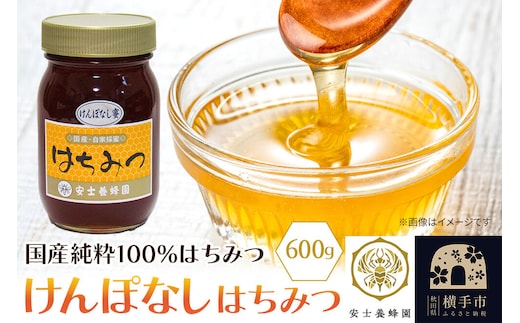 けんぽなしはちみつ 600g [蜂蜜 はちみつ ハチミツ 国産 純粋 天然 無添加 玄圃梨 けんぽなし 化粧箱 贈り物]