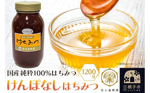 けんぽなしはちみつ 1200g [蜂蜜 はちみつ ハチミツ 国産 純粋 天然 無添加 玄圃梨 けんぽなし 化粧箱 贈り物]