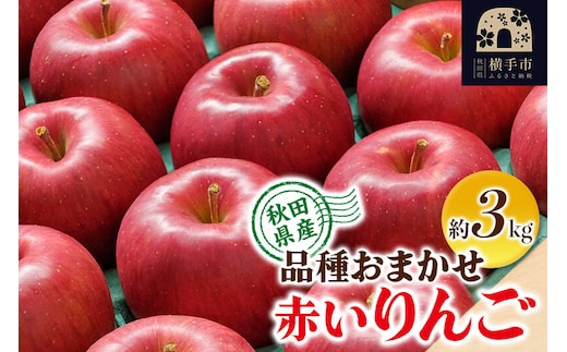 【先行受付】10月上旬より発送 りんご 品種おまかせ 季節の赤いりんご 約3kg（早生ふじ(やたか)、シナノスイート、早生ふじ(こまちふじ)、サンふじ） [先行予約 秋田県 横手市 林檎 リンゴ 果物 フルーツ 【りんご】特集]