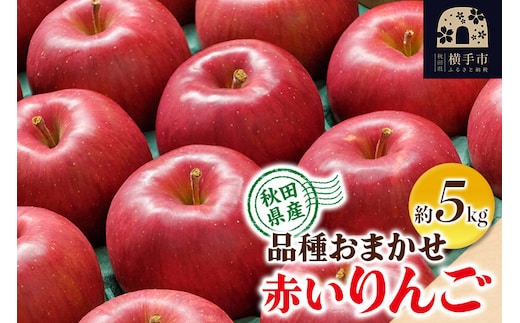 【先行受付】10月上旬より発送 りんご 品種おまかせ 季節の赤いりんご 約5kg（早生ふじ(やたか)、シナノスイート、早生ふじ(こまちふじ)、サンふじ） [先行予約 秋田県 横手市 林檎 リンゴ 果物 フルーツ 【りんご】特集]