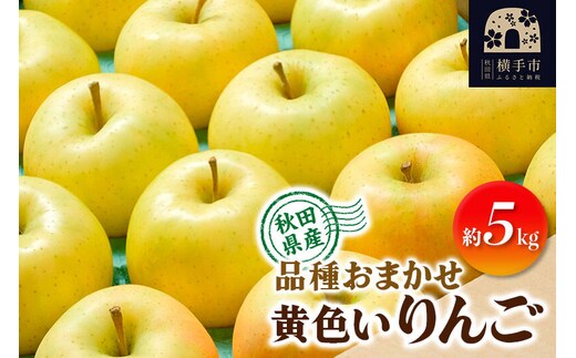 【先行受付】10月上旬より発送 りんご 品種おまかせ 季節の黄色いりんご 約5kg（トキ、ぐんま名月、シナノゴールド） [先行予約 秋田県 横手市 林檎 リンゴ 果物 フルーツ 【りんご】特集]
