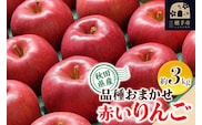 りんご 品種おまかせ 季節の赤いりんご 約3kg（早生ふじ(やたか)、シナノスイート、早生ふじ(こまちふじ)、サンふじ） [秋田県 横手市 林檎 リンゴ 果物 フルーツ 【りんご】特集]