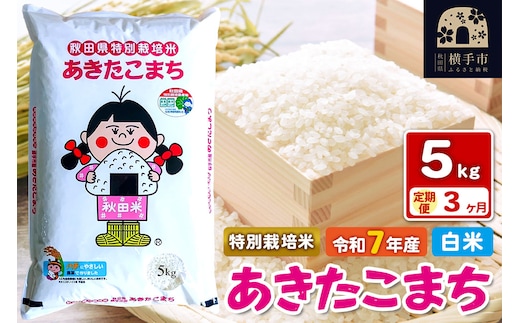 令和7年産【白米】《定期便3ヶ月》特別栽培米 あきたこまち 5kg 秋田県 横手市