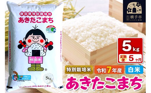 令和7年産【白米】《定期便5ヶ月》特別栽培米 あきたこまち 5kg 秋田県 横手市