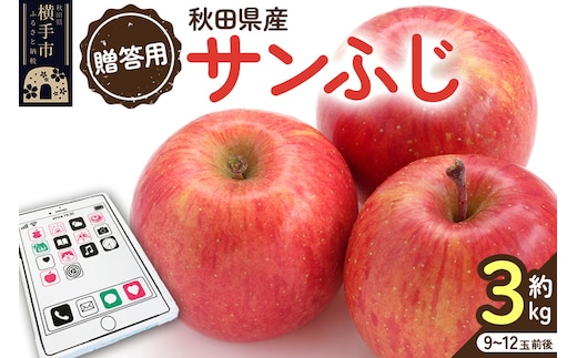 12月上旬より発送【贈答用】秋田県産 サンふじりんご 約3kg(9玉～12玉前後)