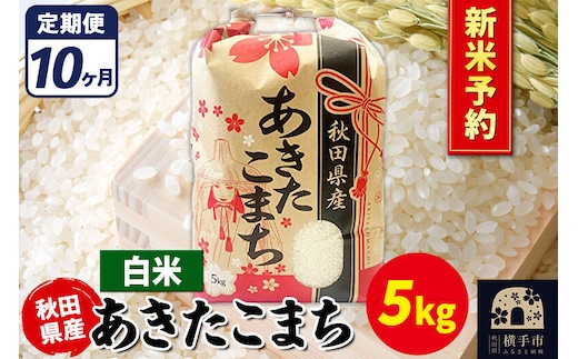 《令和8年産 新米受付》《定期便10ヶ月》あきたこまち 5kg【白米】秋田県産 こまちライン [新米 先行予約 こまちライン あきたこまち ブランド米 お米 白米 精米 米どころ 秋田 秋田県産]