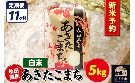 《令和8年産 新米受付》《定期便11ヶ月》あきたこまち 5kg【白米】秋田県産 こまちライン [新米 先行予約 こまちライン あきたこまち ブランド米 お米 白米 精米 米どころ 秋田 秋田県産]
