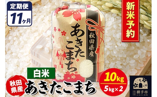 《令和8年産 新米受付》《定期便11ヶ月》あきたこまち 10kg【白米】秋田県産 こまちライン [新米 先行予約 こまちライン あきたこまち ブランド米 お米 白米 精米 米どころ 秋田 秋田県産]