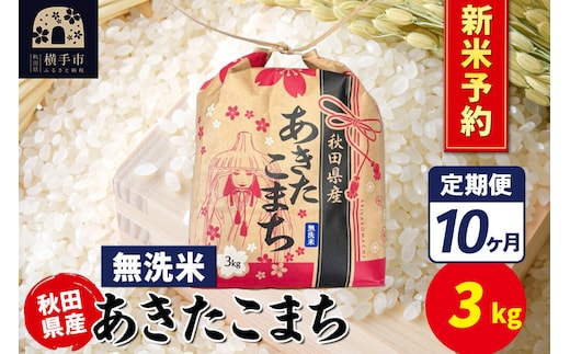 《令和8年産 新米受付》《定期便10ヶ月》あきたこまち 3kg×1袋【無洗米】令和8年産 秋田県産 こまちライン [新米 先行予約 こまちライン あきたこまち ブランド米 お米 無洗米 精米 米どころ 秋田 秋田県産]