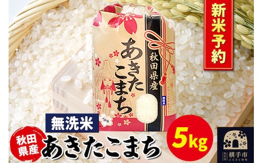 《令和8年産 新米受付》あきたこまち 5kg×1袋【無洗米】秋田県産 こまちライン [新米 先行予約 こまちライン あきたこまち ブランド米 お米 白米 精米 無洗米 米どころ 秋田 秋田県産]