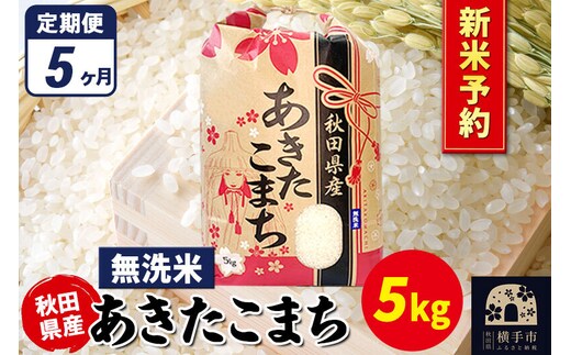 《令和8年産 新米受付》《定期便5ヶ月》あきたこまち 5kg×1袋【無洗米】秋田県産 こまちライン [新米 先行予約 こまちライン あきたこまち ブランド米 お米 白米 精米 無洗米 米どころ 秋田 秋田県産]