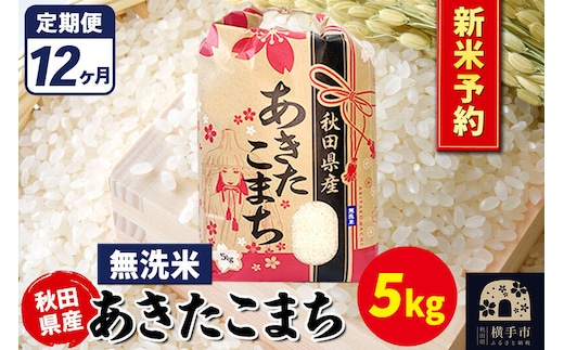 《令和8年産 新米受付》《定期便12ヶ月》あきたこまち 5kg【無洗米】秋田県産 こまちライン [新米 先行予約 こまちライン あきたこまち ブランド米 お米 白米 精米 無洗米 米どころ 秋田 秋田県産]