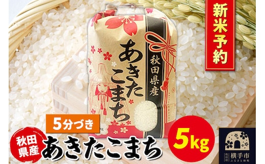《令和8年産 新米受付》あきたこまち 5kg×1袋【5分づき】秋田県産 こまちライン [新米 先行予約 こまちライン あきたこまち ブランド米 お米 5分搗き 5分づき 米どころ 秋田 秋田県産]