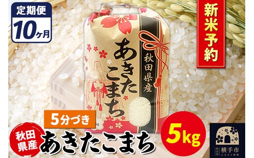 《令和8年産 新米受付》《定期便10ヶ月》あきたこまち 5kg【5分づき】秋田県産 こまちライン [新米 先行予約 こまちライン あきたこまち ブランド米 お米 5分搗き 5分づき 米どころ 秋田 秋田県産]