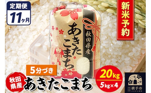 《令和8年産 新米受付》《定期便11ヶ月》あきたこまち 20kg【5分づき】秋田県産 こまちライン [新米 先行予約 こまちライン あきたこまち ブランド米 お米 5分搗き 5分づき 米どころ 秋田 秋田県産]