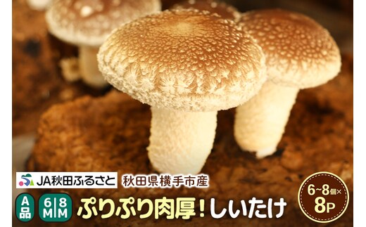 しいたけ A級品 Mサイズ 約800g(約100g(6～8個入)×8パック)