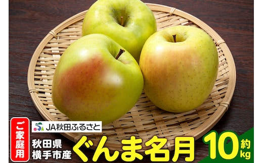 りんご ぐんま名月 家庭用 約10kg（32～40玉） [秋田県 横手市 林檎 リンゴ りんご 果物 フルーツ 家庭用 ぐんま名月]