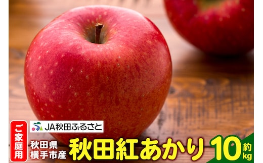 りんご 秋田紅あかり 家庭用 約10kg（32～40玉） [秋田県 横手市 林檎 リンゴ りんご 果物 フルーツ 家庭用 秋田紅あかり]
