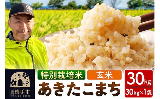 秋田県 横手市 【玄米】令和7年産 特別栽培米 あきたこまち 30kg（30kg×1袋）