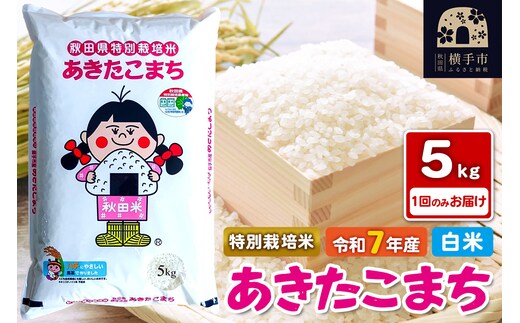《令和7年産》【白米】秋田県横手産特別栽培米あきたこまち 5kg(5kg×1袋)