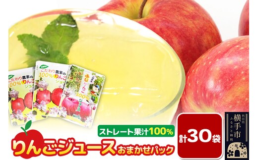 りんごジュース おまかせパック（ふじ、つがる、シナノスイート、王林） 合計30袋
