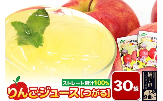りんごジュース（つがる）30袋