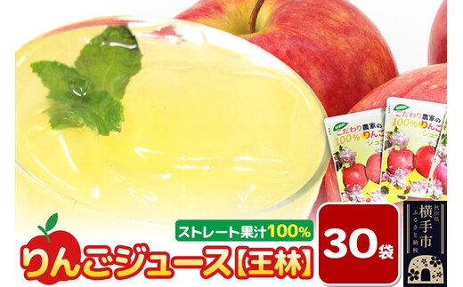 りんごジュース（王林）30袋