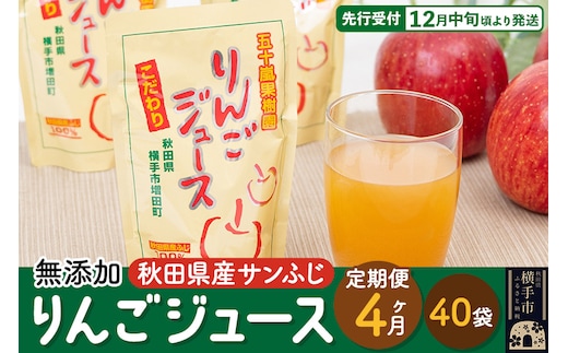 《定期便4ヶ月》 無添加りんごジュース（サンふじ）40パック