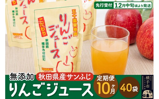《定期便10ヶ月》 無添加りんごジュース（サンふじ）40パック