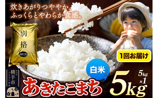 《令和7年産》 米 あきたこまち 5kg 【白米】 秋田県産