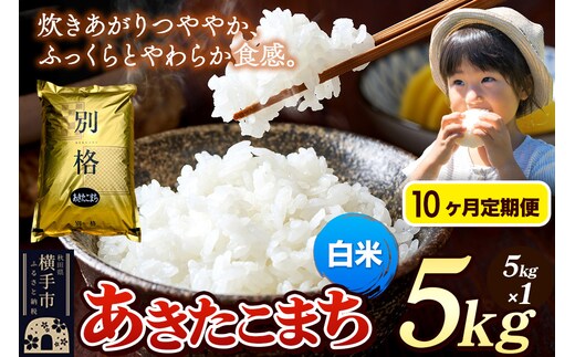 《令和7年産》《定期便10ヶ月》 米 あきたこまち 5kg 【白米】 秋田県産