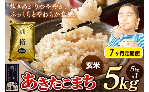 《令和7年産》《定期便7ヶ月》 米 あきたこまち 5kg 【玄米】 秋田県産