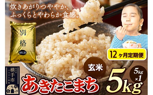 《令和7年産》《定期便12ヶ月》 米 あきたこまち 5kg 【玄米】 秋田県産