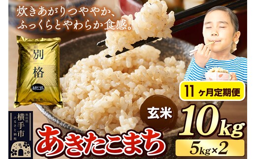 《令和7年産》《定期便11ヶ月》 米 あきたこまち 10kg（5kg×2袋） 【玄米】 秋田県産