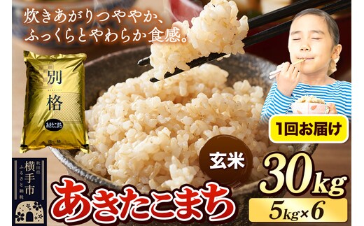 《令和7年産》 米 あきたこまち 30kg（5kg×6袋） 【玄米】 秋田県産