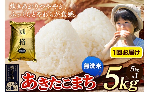 《令和7年産》 米 あきたこまち 5kg 【無洗米】 秋田県産