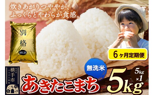 《令和7年産》《定期便6ヶ月》 米 あきたこまち 5kg 【無洗米】 秋田県産