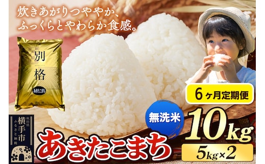 《令和7年産》《定期便6ヶ月》 米 あきたこまち 10kg（5kg×2袋） 【無洗米】 秋田県産