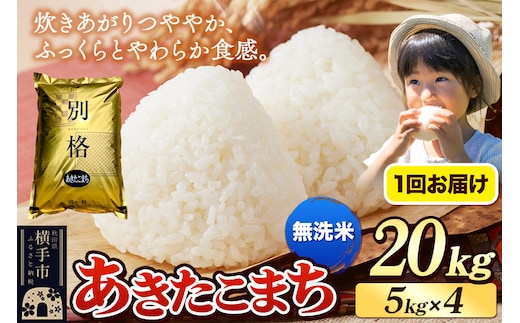 《令和7年産》 米 あきたこまち 20kg（5kg×4袋） 【無洗米】 秋田県産