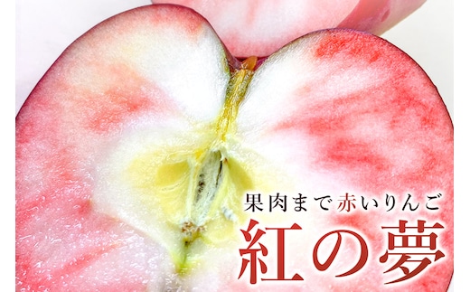 紅の夢アップルパイ クレームパティシエール 450g（4～5人前）