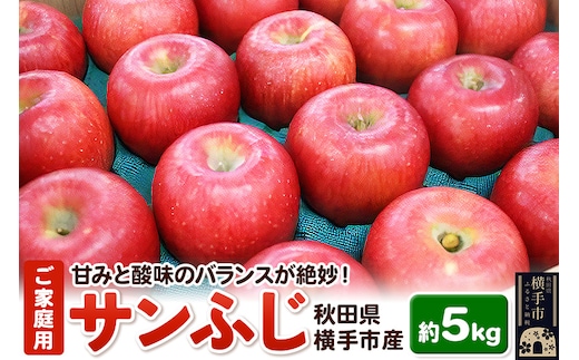 12月上旬より発送 秋田県横手産 りんご サンふじ ご家庭用 約5kg