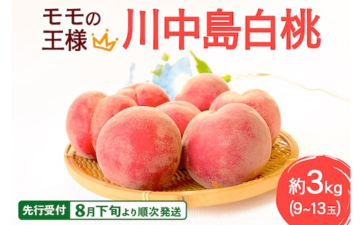 《先行受付！8月下旬より順次発送》モモの王様 川中島白桃 約3kg（9～13玉前後）