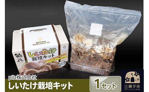 ご自宅でブランド椎茸を栽培！しいたけ栽培キット